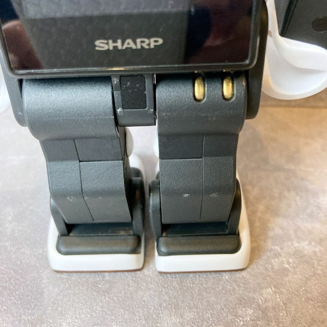 SHARP(シャープ)のRoBoHoN ロボホン SR-06M-T 限定 ブラウン SHARP シャープ スマホ/家電/カメラのPC/タブレット(その他)の商品写真