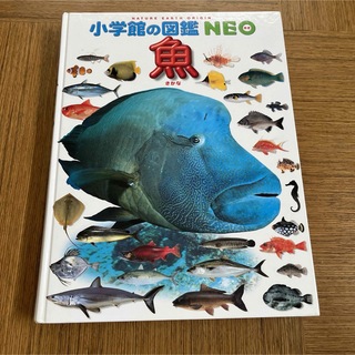 ショウガクカン(小学館)の魚　小学館の図鑑　NEO(語学/参考書)