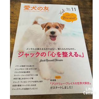 愛犬の友 2016年11月号 ジャックラッセルテリアの心を整える(犬)