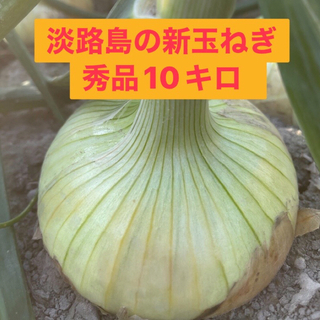 ★農家直送★淡路島の新玉ねぎ★秀品10キロ  (野菜)