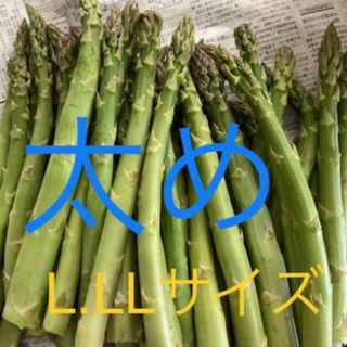 アスパラ　500g(野菜)