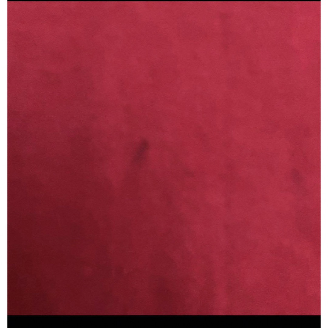 BURBERRY(バーバリー)のバーバリーポロシャツ 90 キッズ/ベビー/マタニティのキッズ服女の子用(90cm~)(Tシャツ/カットソー)の商品写真