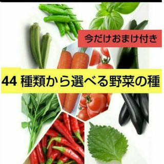 44種類から選べる野菜の種セット(その他)