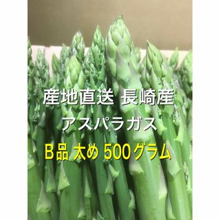 産直長崎産アスパラガスB品 細め 500グラム(野菜)