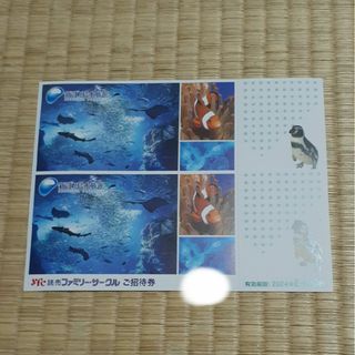 新江ノ島水族館　ペアチケット　 ご招待券