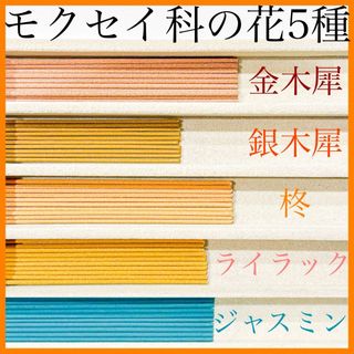 モクセイ科の花5種(金木犀/銀木犀/柊/ライラック/ジャスミン) お香・線香(お香/香炉)