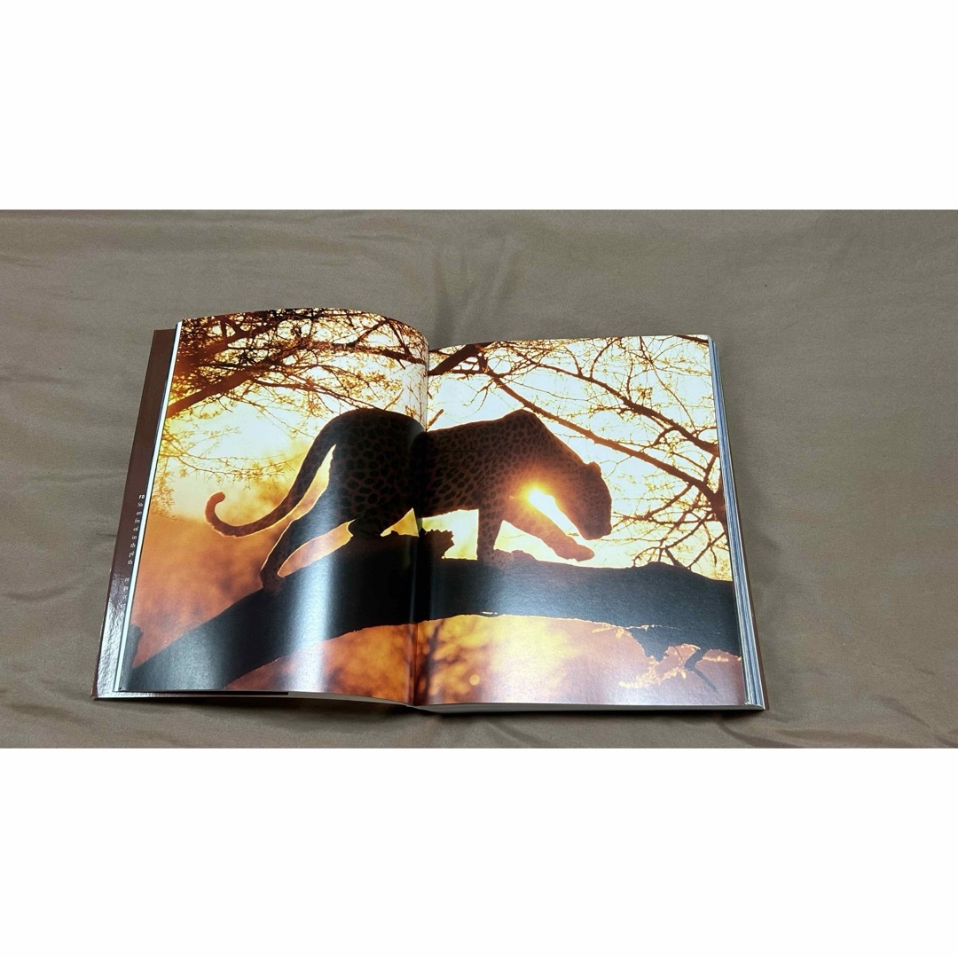 Serpentine, Untamed  洋書2冊  ヘビ 動物 写真集 エンタメ/ホビーの本(洋書)の商品写真