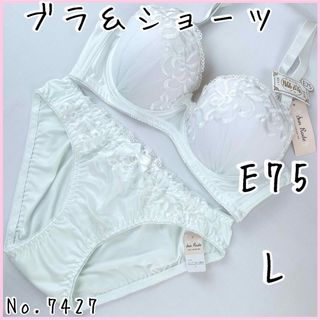 ブラジャーショーツセットE75    No.7427(ブラ&ショーツセット)