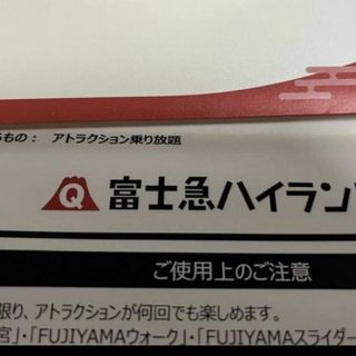 富士急ハイランド　フリーパス　四名分　7/31まで