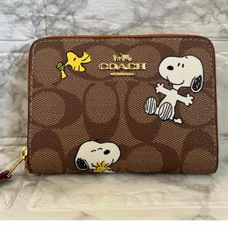 COACH  二つ折り財布　SNOOPY PEANUTS 新品