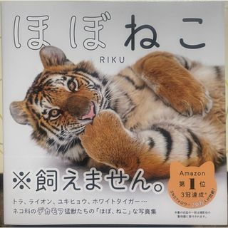 ほぼねこ(趣味/スポーツ/実用)