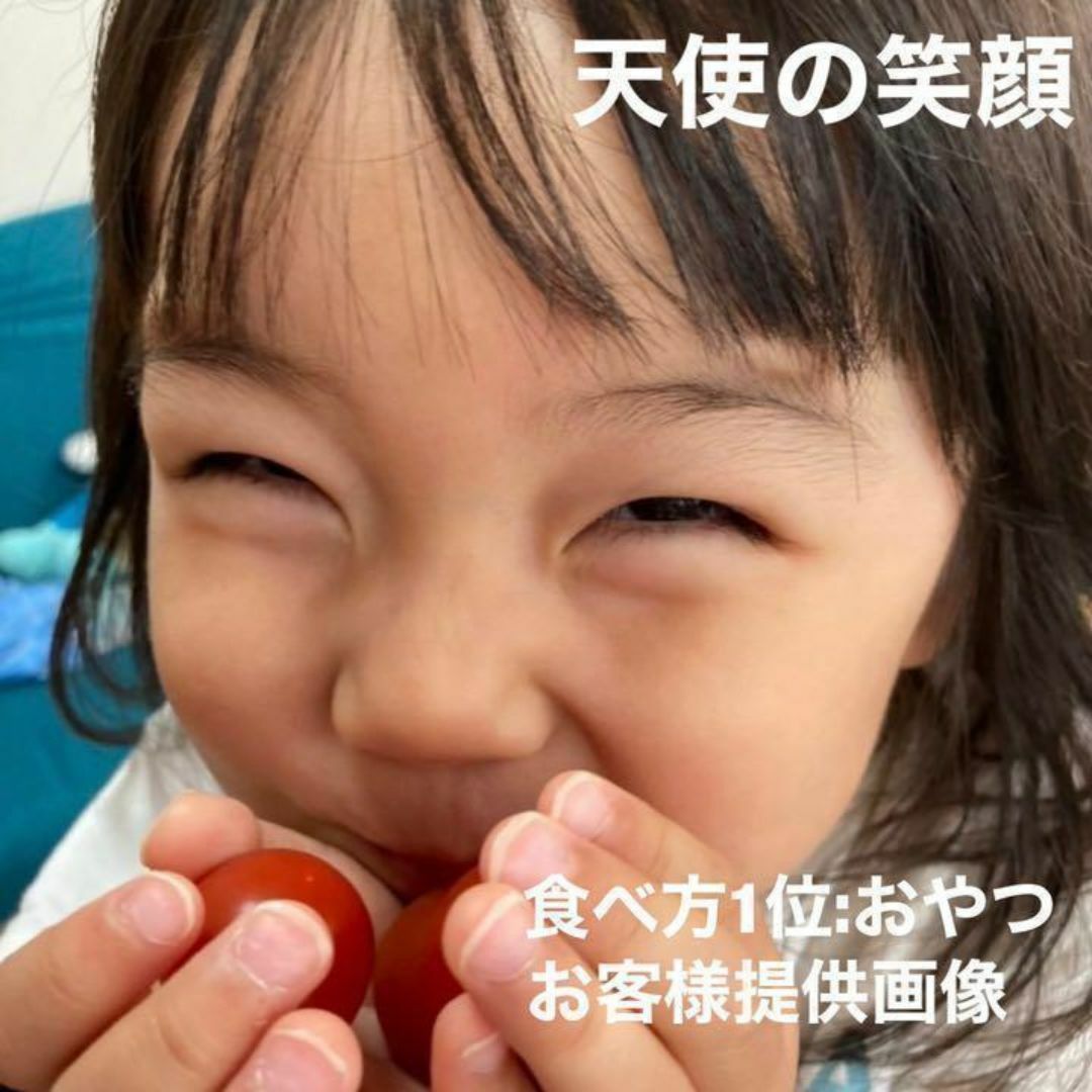 八ヶ岳産 行列ありがとまと 約300g 味濃いめ！農薬は薄め！お子様も大好き！ 食品/飲料/酒の食品(野菜)の商品写真