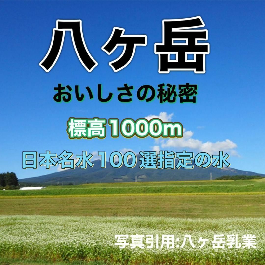 八ヶ岳産 行列ありがとまと 約300g 味濃いめ！農薬は薄め！お子様も大好き！ 食品/飲料/酒の食品(野菜)の商品写真