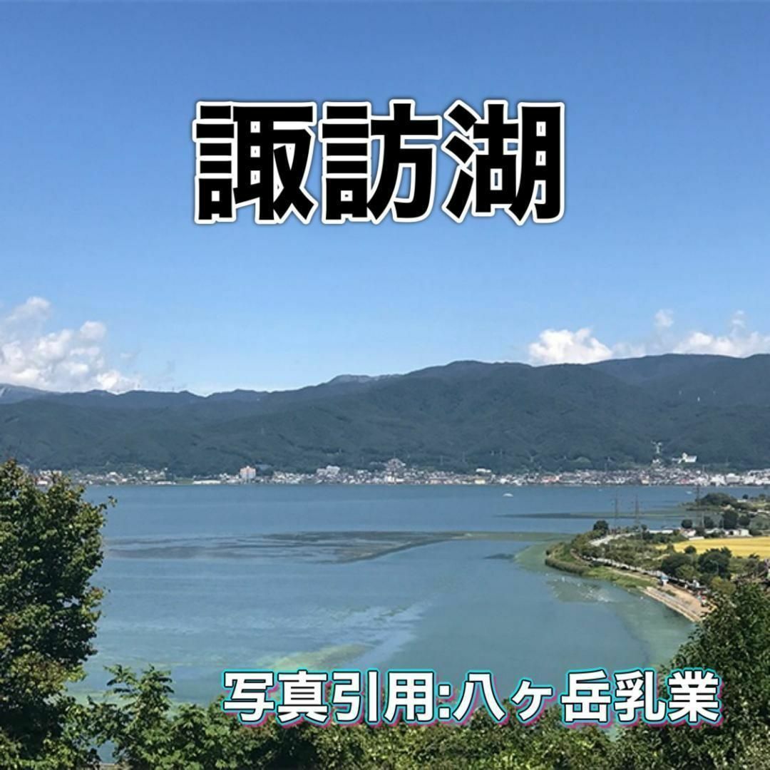 八ヶ岳産 行列ありがとまと 約300g 味濃いめ！農薬は薄め！お子様も大好き！ 食品/飲料/酒の食品(野菜)の商品写真