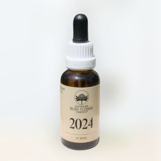 2024エッセンス　30ml　オーストラリアンブッシュ(その他)