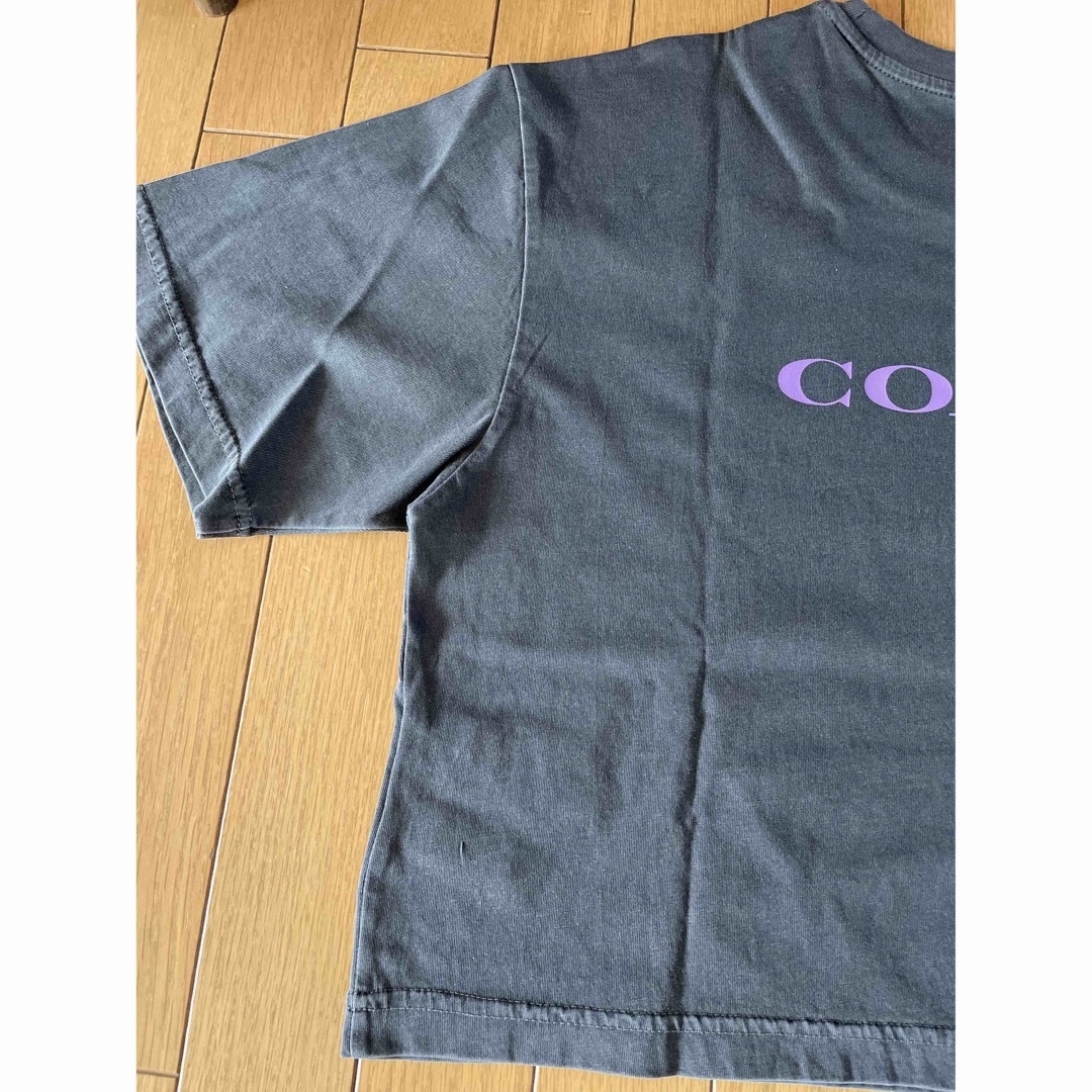 COACH(コーチ)のcoach コーチ　レイブ　ベア　ガーメント　ダイ　クロップドTシャツ レディースのトップス(Tシャツ(半袖/袖なし))の商品写真