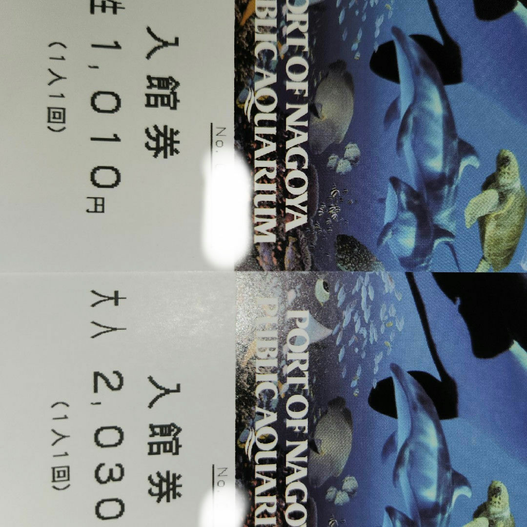 名古屋港水族館 入館券 大人1枚  小・中学生1枚チケット チケットの施設利用券(水族館)の商品写真
