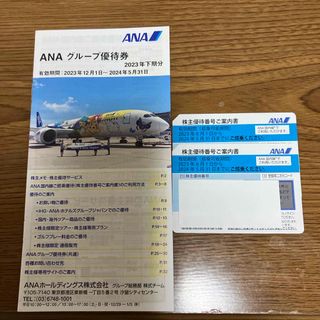 エーエヌエー(ゼンニッポンクウユ)(ANA(全日本空輸))のANA株主優待券2枚　　　　　　　　　　(その他)