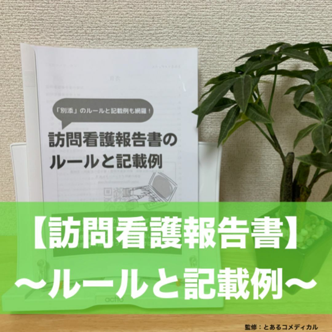 訪問看護報告書のルールと記載例 エンタメ/ホビーの本(語学/参考書)の商品写真