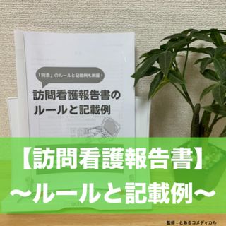 訪問看護報告書のルールと記載例(語学/参考書)