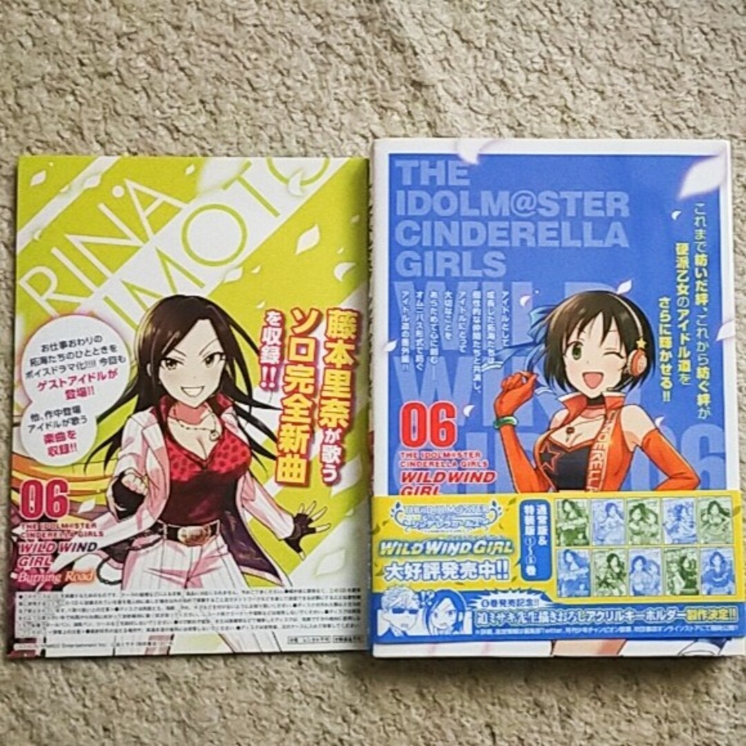 秋田書店(アキタショテン)の特装版『アイドルマスター シンデレラガールズ Wild Wind Girl』6巻 エンタメ/ホビーの漫画(その他)の商品写真