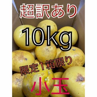 超訳あり土佐文旦　 小玉10kg(フルーツ)