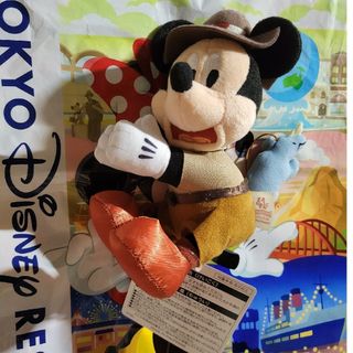 ディズニー(Disney)のChimi様⭐専用出品⭐ディズニーランド⭐41周年⭐ぬいぐるみクリップ他２点⭐(キャラクターグッズ)