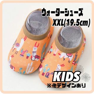 キッズ　海 ウォーターシューズ　19.5cm　水遊び 通気 プール 遊び(サンダル)