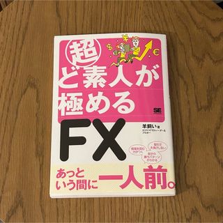 超ど素人が極めるFX(ビジネス/経済/投資)