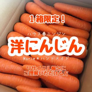 【箱①】洋にんじん　2.5kg　ハウスニンジン　人参　野菜　産地直送　期間限定(野菜)