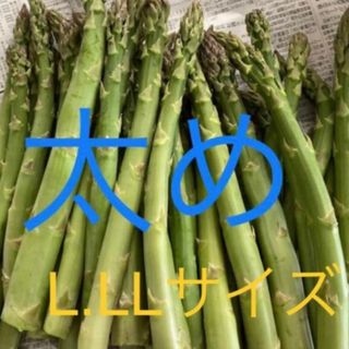 アスパラ　500g(野菜)