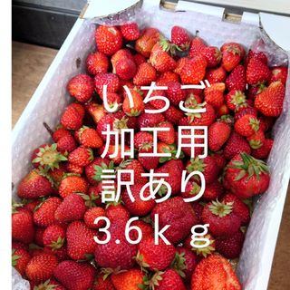 いちご　訳あり　加工用　クール便3.6ｋｇ(フルーツ)