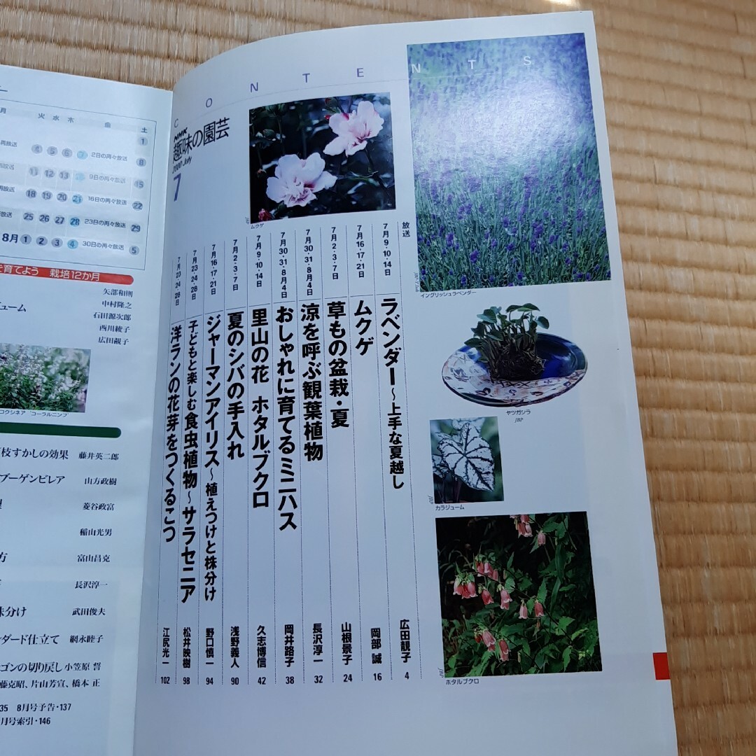 趣味の園芸7月 エンタメ/ホビーの雑誌(趣味/スポーツ)の商品写真