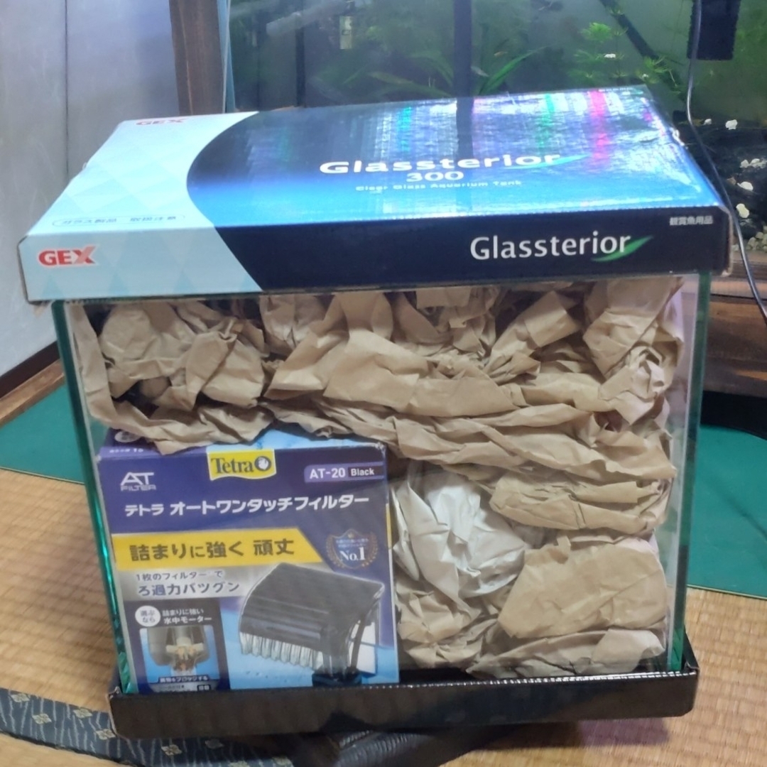 GEX(ジェックス)のGEX  Glassterior 30cm その他のペット用品(アクアリウム)の商品写真