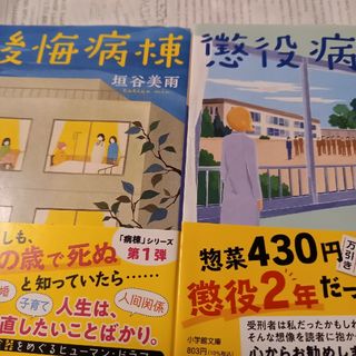 ショウガクカン(小学館)の病棟シリーズ２冊(文学/小説)