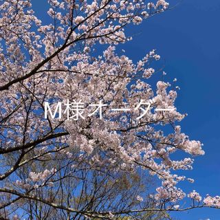 M様オーダー(その他)