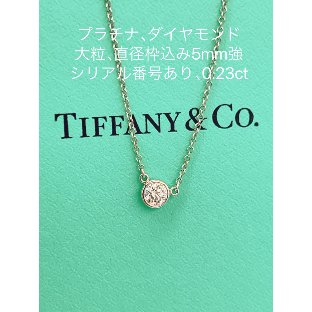 Tiffany & Co.(ティファニー)の大粒TIFFANY&Co.ティファニーバイザヤードプラチナネックレス0.23ct レディースのアクセサリー(ネックレス)の商品写真