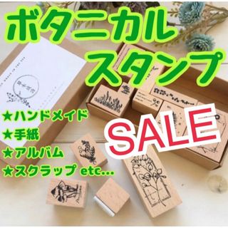 【C】ボタニカルプラント ヴィンテージスタンプ 木製 12個入り 植物 新品(その他)