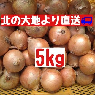 産地直送　北海道産玉ねぎ5kg(Ｌ大)(野菜)