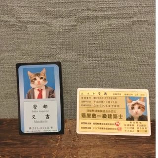 なめんなよ　カードコレクションライセンスカード　トラ吉　又吉　三毛猫(キャラクターグッズ)