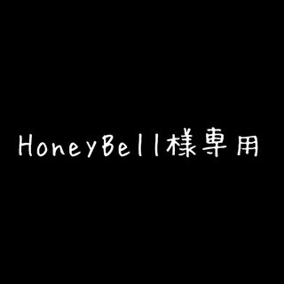 HoneyBell様専用(ミニチュア)