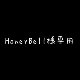 HoneyBell様専用(ミニチュア)