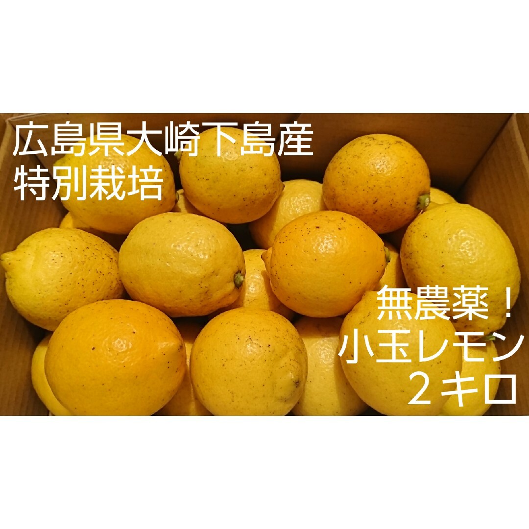 【小玉】酸っぱいだけじゃない！甘味も感じる 特別栽培レモン2キロ 食品/飲料/酒の食品(フルーツ)の商品写真