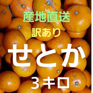 産地直送❕ 香川県産 訳ありせとか ３キロ(フルーツ)