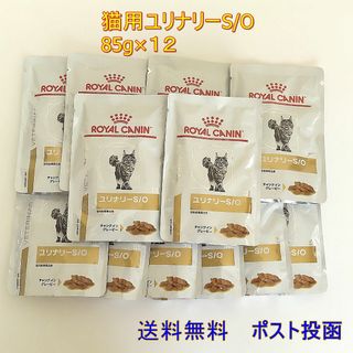 ロイヤルカナン ユリナリーS/Oパウチ 猫用 85g×12【送料無料】ポスト投函