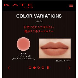 ケイト(KATE)のケイト 東京夜喫茶極マットコレクション　ヌードリップ(口紅)