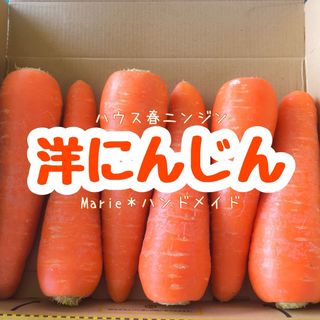 洋にんじん　お試しパック　ハウスニンジン　人参　野菜　産地直送　期間限定(野菜)