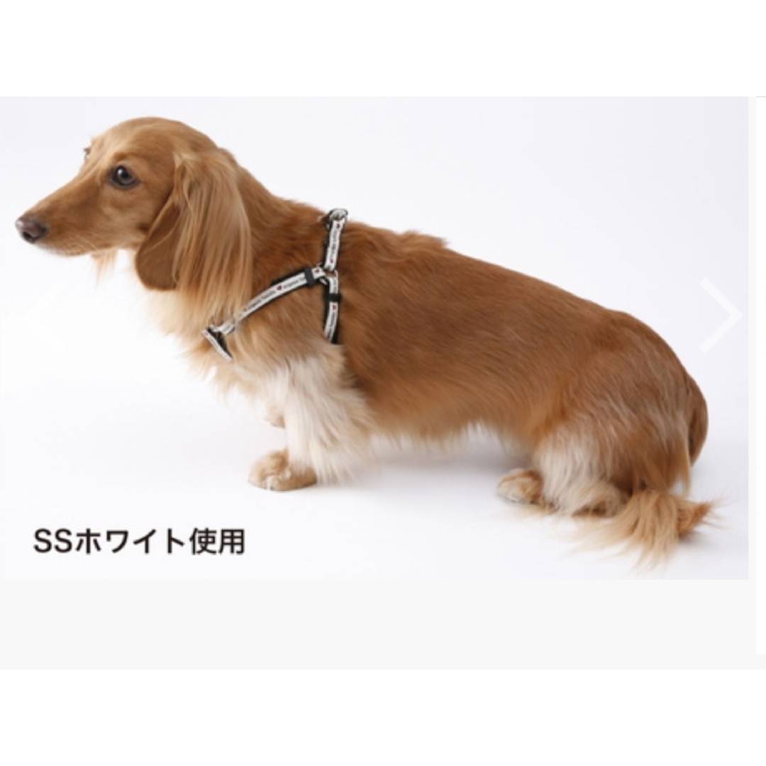 Petio(ペティオ)の5kgまで小型犬●黒デニムスタイル胴輪リードセット仮つなぎセーフティースナップ その他のペット用品(犬)の商品写真