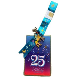 ディズニー(Disney)の⭐️パスケース&ピンバッチ⭐️25周年ディズニーランド スペシャルナイト非売品(ノベルティグッズ)