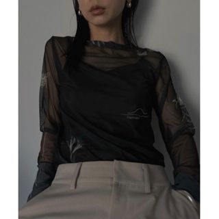 アメリヴィンテージ(Ameri VINTAGE)のAMERI MEDI FLOWER TATTOO SHEER TOP(カットソー(長袖/七分))